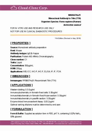 Monoclonal-Antibody-to-Titin-(TTN)-MAB667Hu21.pdf