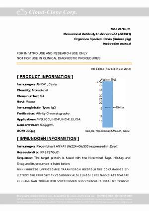 Monoclonal-Antibody-to-Annexin-A1--ANXA1--MAE787Gu21.pdf