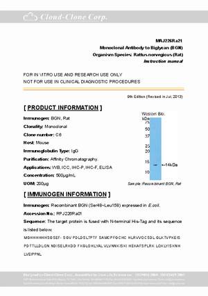 Monoclonal-Antibody-to-Biglycan--BGN--MAJ226Ra21.pdf