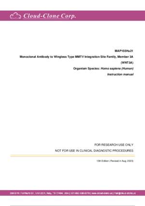 Monoclonal-Antibody-to-Wingless-Type-MMTV-Integration-Site-Family--Member-3A-(WNT3A)-MAP155Hu21.pdf