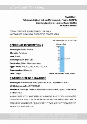 Antibody-to-Bone-Morphogenetic-Protein-4--BMP4--A90014Bo01.pdf