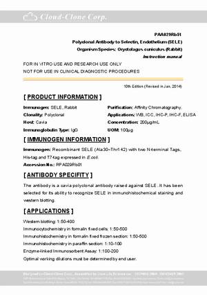 Polyclonal-Antibody-to-Selectin--Endothelium--SELE--PAA029Rb51.pdf