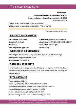 Polyclonal-Antibody-to-Interleukin-18-(IL18)-PAA064Rb51.pdf