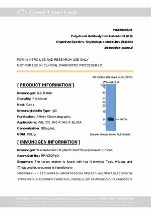 Antibody-to-Interleukin-8--IL8--A90080Rb01.pdf