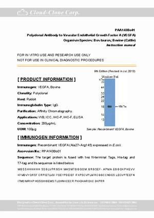 Polyclonal-Antibody-to-Vascular-Endothelial-Growth-Factor-A--VEGFA--PAA143Bo01.pdf