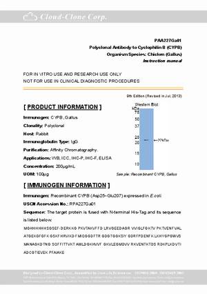 Antibody-to-Cyclophilin-B--CYPB--A90227Ga01.pdf