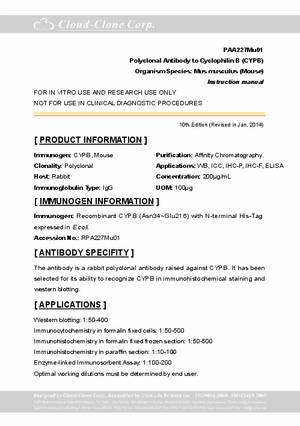 Antibody-to-Cyclophilin-B--CYPB--A90227Mu01.pdf