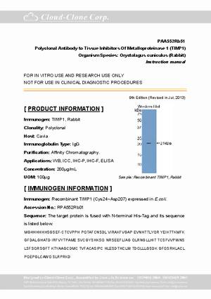 Antibody-to-Tissue-Inhibitors-Of-Metalloproteinase-1--TIMP1--A90552Rb01.pdf