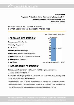 Antibody-to-Heme-Oxygenase-1--Decycling--HO1--A90584Po01.pdf