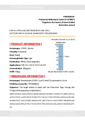 Polyclonal-Antibody-to-Cyclin-D1--CCND1--PAA585Bo01.pdf