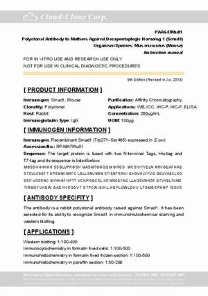 Polyclonal-Antibody-to-Mothers-Against-Decapentaplegic-Homolog-1--Smad1--PAA647Mu01.pdf