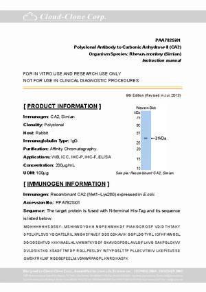 Antibody-to-Carbonic-Anhydrase-II--CA2--A90782Si01.pdf