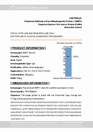 Polyclonal-Antibody-to-Bone-Morphogenetic-Protein-7--BMP7--PAA799Bo01.pdf