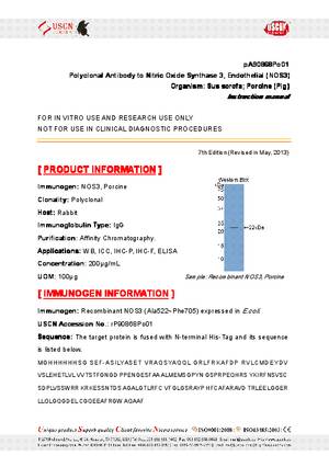 Polyclonal-Antibody-to-Nitric-Oxide-Synthase-3--Endothelial--NOS3--pA90868Po01.pdf