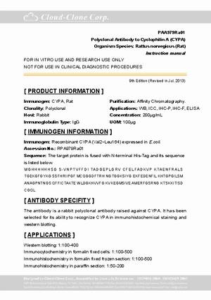 Antibody-to-Cyclophilin-A--CYPA--A90979Ra01.pdf