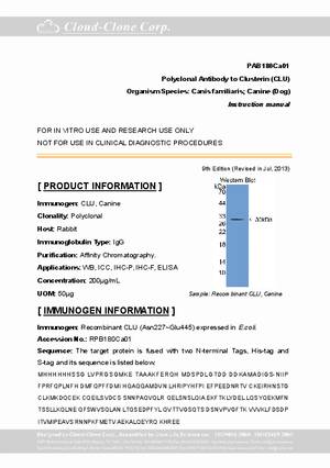 Antibody-to-Clusterin--CLU--A91180Ca01.pdf