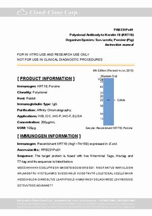 Polyclonal-Antibody-to-Keratin-18--KRT18--PAB231Po01.pdf