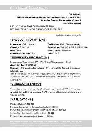 Antibody-to-Adenylyl-Cyclase-Associated-Protein-1--CAP1--A91349Hu01.pdf