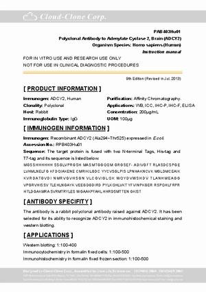 Polyclonal-Antibody-to-Adenylate-Cyclase-2--Brain--ADCY2--PAB403Hu01.pdf