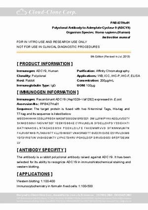 Polyclonal-Antibody-to-Adenylate-Cyclase-9--ADCY9--PAB427Hu01.pdf