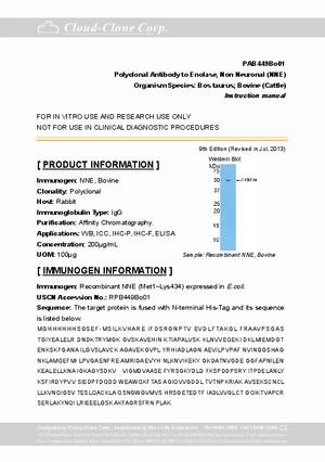 Antibody-to-Enolase--Non-Neuronal--NNE--A91449Bo01.pdf