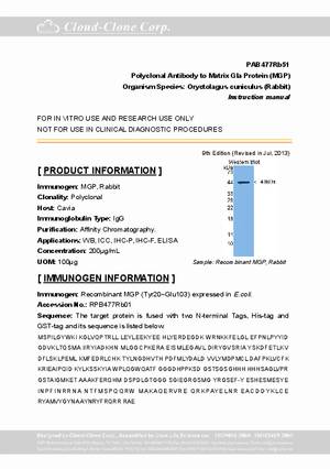 Polyclonal-Antibody-to-Matrix-Gla-Protein--MGP--PAB477Rb51.pdf