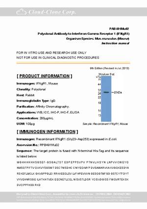 Polyclonal-Antibody-to-Interferon-Gamma-Receptor-1--IFNgR1--PAB491Mu02.pdf