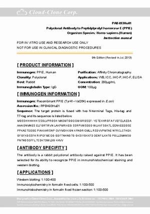 Polyclonal-Antibody-to-Peptidylprolyl-Isomerase-E--PPIE--PAB493Hu01.pdf
