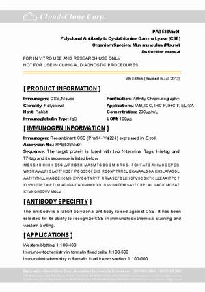 Polyclonal-Antibody-to-Cystathionine-Gamma-Lyase--CSE--PAB538Mu01.pdf