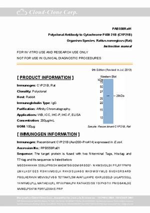 Polyclonal-Antibody-to-Cytochrome-P450-21B--CYP21B--PAB558Ra01.pdf