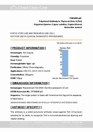 Antibody-to-Thymosin-Beta-4--Tb4--A91609Eq01.pdf