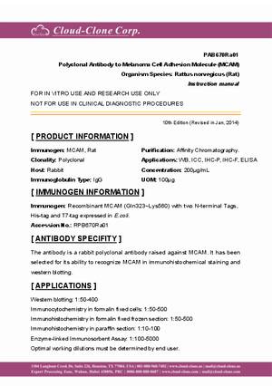 Polyclonal-Antibody-to-Melanoma-Cell-Adhesion-Molecule--MCAM--PAB670Ra01.pdf