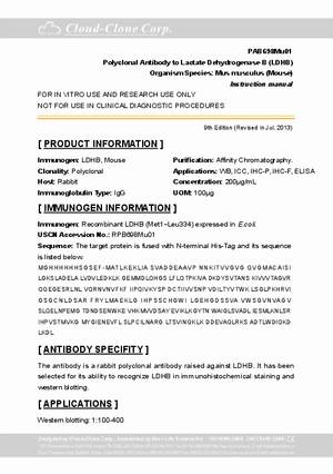 Antibody-to-Lactate-Dehydrogenase-B--LDHB--A91698Mu01.pdf