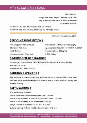 Polyclonal-Antibody-to-Caspase-4--CASP4--PAB735Mu02.pdf