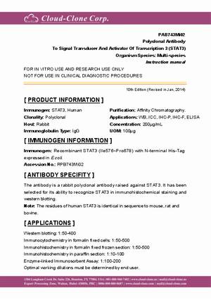 Polyclonal-Antibody-to-Signal-Transducer-And-Activator-Of-Transcription-3--STAT3--PAB743Mi02.pdf