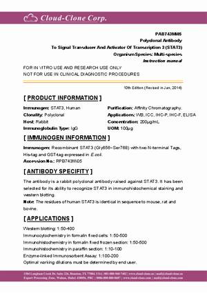 Polyclonal-Antibody-to-Signal-Transducer-And-Activator-Of-Transcription-3--STAT3--PAB743Mi05.pdf