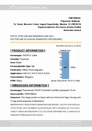 Polyclonal-Antibody-to-Tumor-Necrosis-Factor-Ligand-Superfamily--Member-13--TNFSF13--PAB750Bo01.pdf