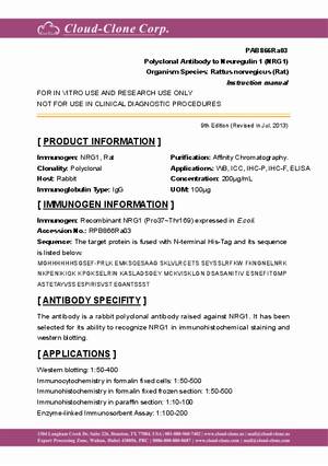 Antibody-to-Neuregulin-1--NRG1--A91866Ra03.pdf