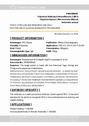 Polyclonal-Antibody-to-Neurofibromin-2--NF2--PAB946Mu01.pdf