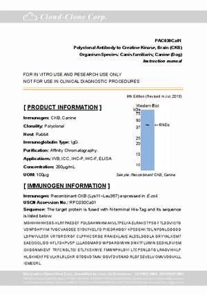 Antibody-to-Creatine-Kinase--Brain--CKB--A92030Ca01.pdf