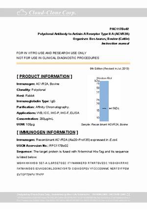 Polyclonal-Antibody-to-Activin-A-Receptor-Type-II-A--ACVR2A--pA92117Bo02.pdf