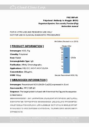 Antibody-to-Noggin--NOG--A92130Po01.pdf