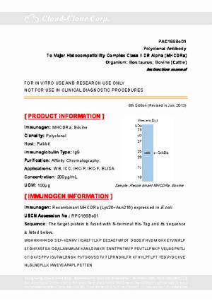 Polyclonal-Antibody-to-Major-Histocompatibility-Complex-Class-II-DR-Alpha--MHCDRa--PAC166Bo01.pdf