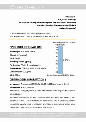 Antibody-to-Major-Histocompatibility-Complex-Class-II-DR-Alpha--MHCDRa--A92166Si01.pdf