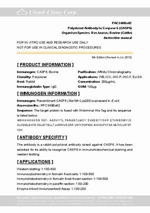Antibody-to-Caspase-6--CASP6--A92340Bo02.pdf