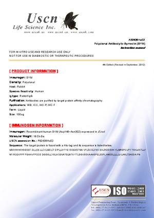 Antibody-to-Dymeclin--DYM--A92438Hu02.pdf