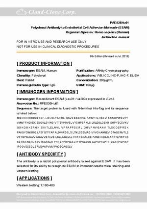 Antibody-to-Endothelial-Cell-Adhesion-Molecule--ESAM--A94536Hu01.pdf