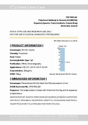 Antibody-to-Annexin-A4--ANXA4--A94784Ca01.pdf