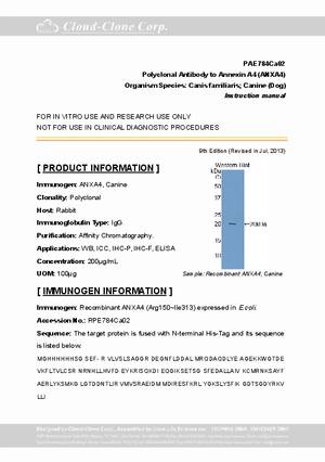 Polyclonal-Antibody-to-Annexin-A4--ANXA4--PAE784Ca02.pdf