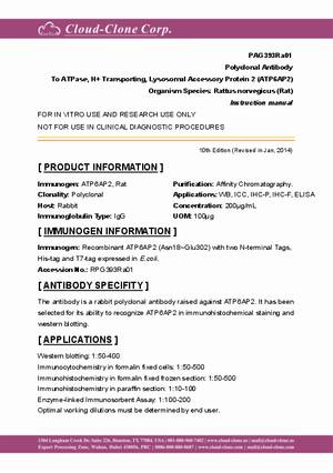 Polyclonal-Antibody-to-ATPase--H--Transporting--Lysosomal-Accessory-Protein-2--ATP6AP2--PAG393Ra01.pdf